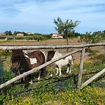 Agri Armonia San Lucido