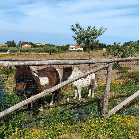 Agriturismo Agri Armonia San Lucido