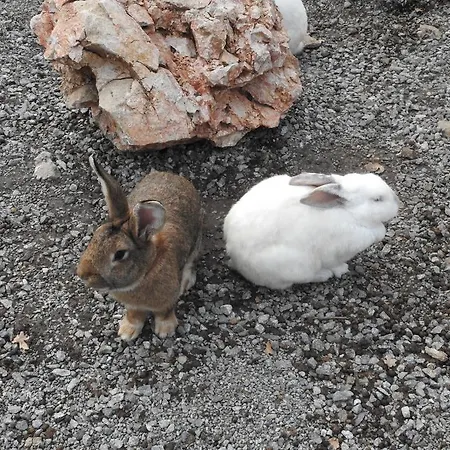 Agriturismo Agri Armonia San Lucido