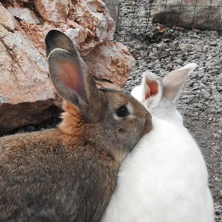 Agri Armonia Фермерский дом