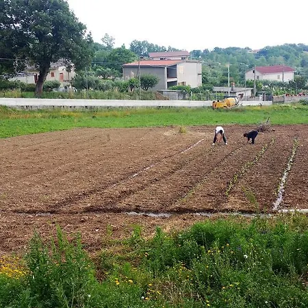 Agriturismo Agri Armonia *
