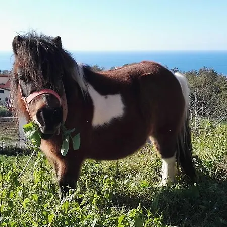 Bauernhof Agriturismo Agri Armonia *