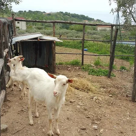 Agriturismo Agri Armonia * San Lucido