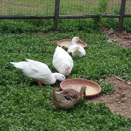 Κατάλυμα σε φάρμα Agri Armonia