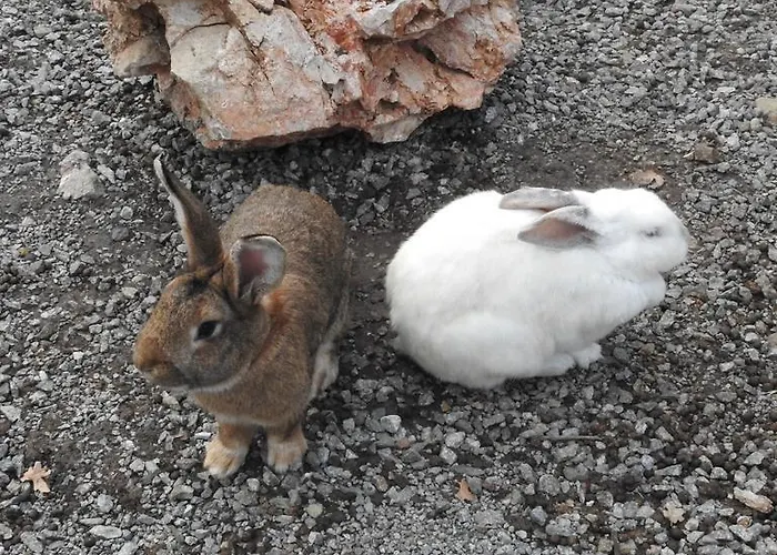 Agri Armonia San Lucido