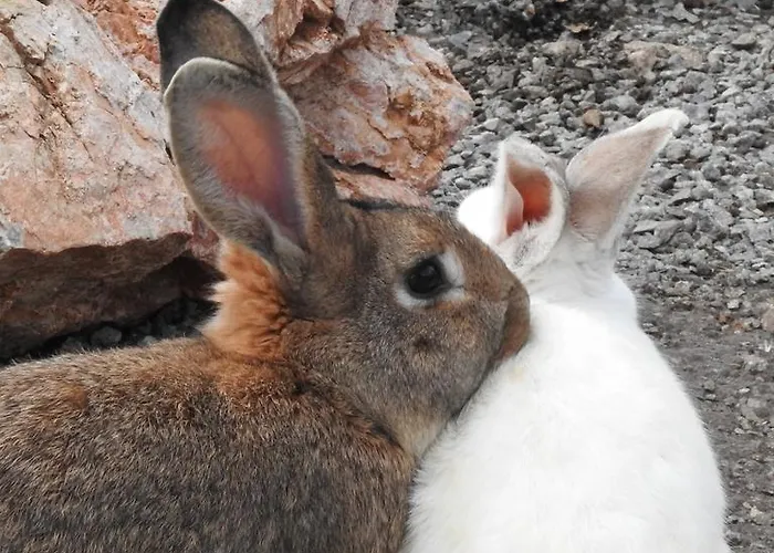 Agri Armonia Alojamento de Turismo Rural