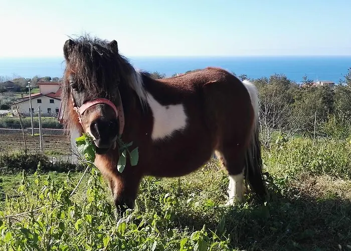 农家乐 Agri Armonia *