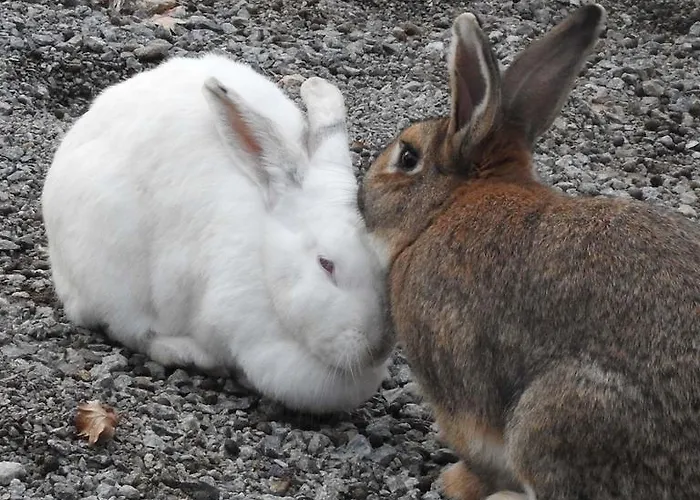Alojamento de Turismo Rural Agri Armonia San Lucido