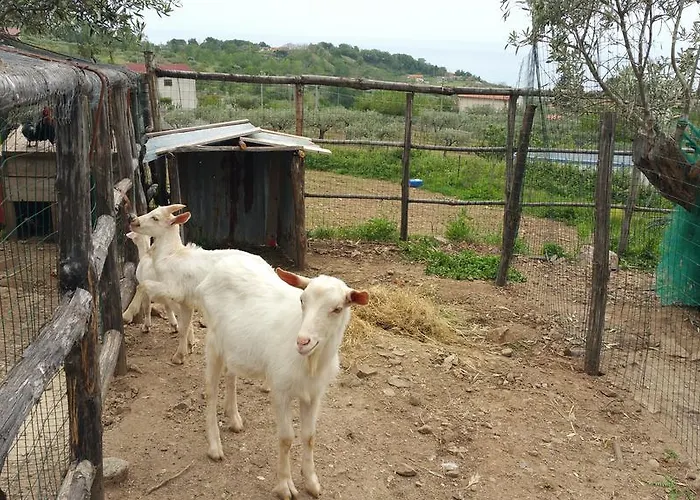 Agri Armonia * San Lucido