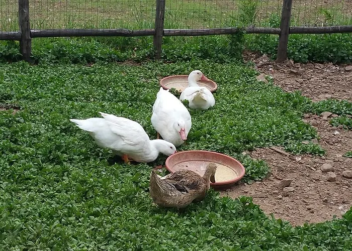 Alojamento de Turismo Rural Agri Armonia